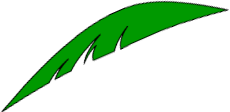 coconut leaf image